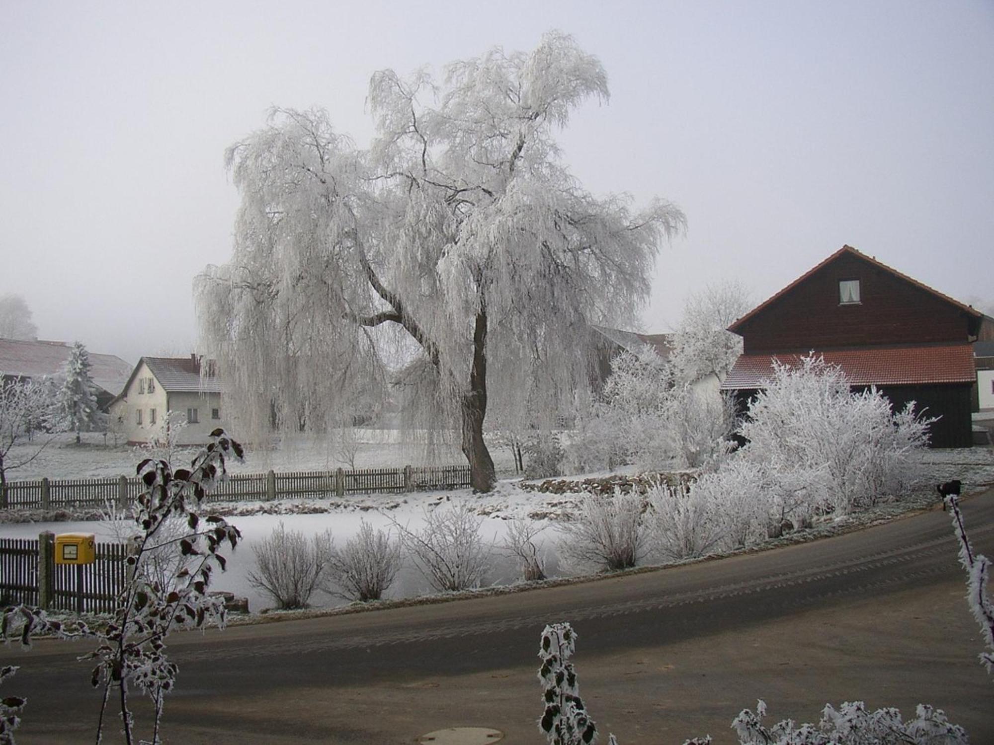 Gasthaus Zur Waldesruh Waffenbrunn Exterior foto